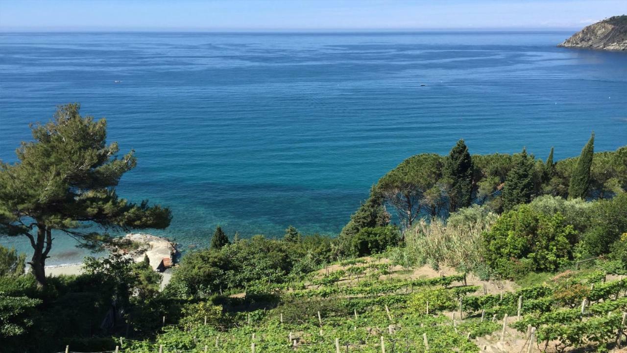 Appartamento A Moneglia, Tra Portofino E Le Cinque Terre Exterior photo